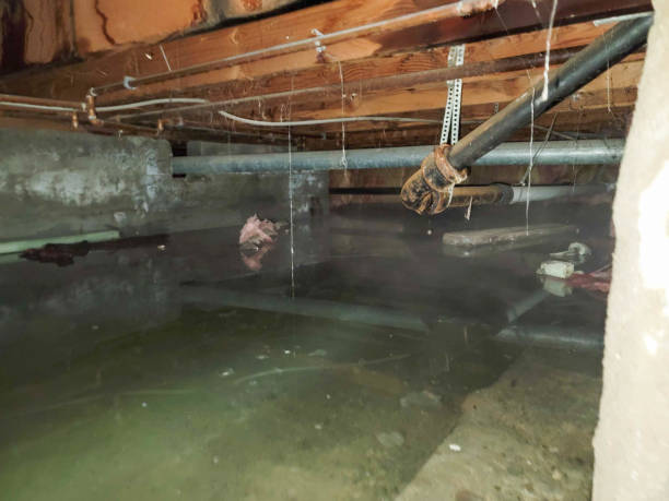 Best 24-hour water damage restoration  in Point Pleasant, NJ