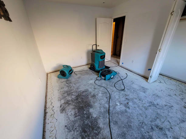 Best Local water damage restoration  in Point Pleasant, NJ