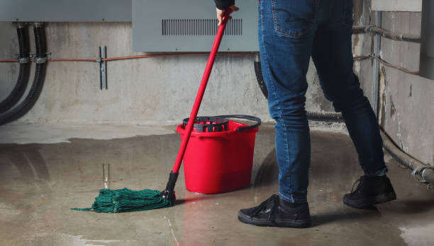 Best 24/7 water damage repair  in Point Pleasant, NJ