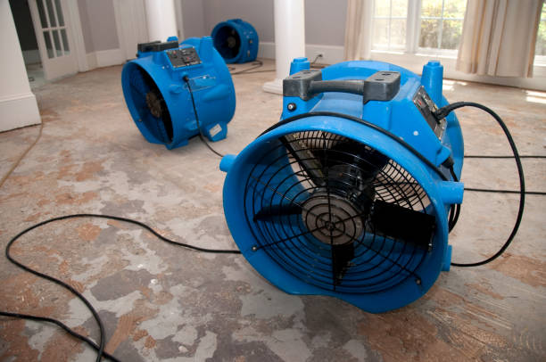Best Emergency water damage restoration  in Point Pleasant, NJ