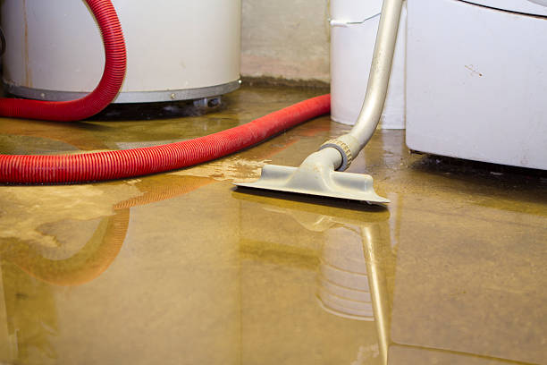Best Commercial water damage restoration  in Point Pleasant, NJ