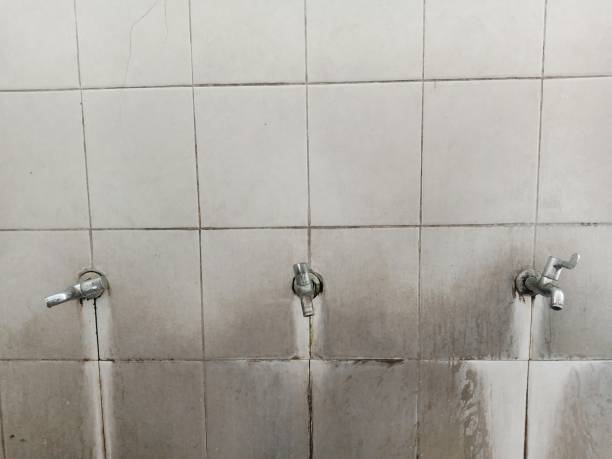 Best Residential water damage restoration  in Point Pleasant, NJ