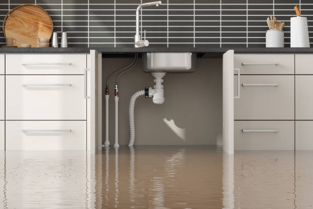 Best Residential water damage restoration  in Point Pleasant, NJ